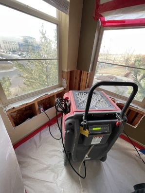 Water Damage Restoration in Denver, CO (1)